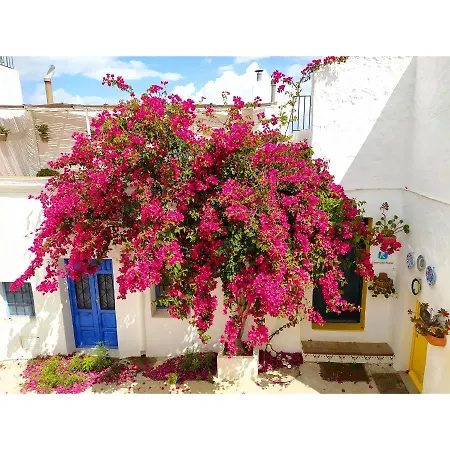 Holiday home La Casa De Carlos *